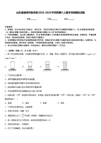 山东省德州市临邑县2023-2024学年物理八上期末检测模拟试题含答案