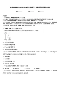 山东省即墨市2023-2024学年物理八上期末综合测试模拟试题含答案