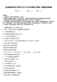 山东省威海市荣成十四中学2023-2024学年物理八年级第一学期期末经典试题含答案