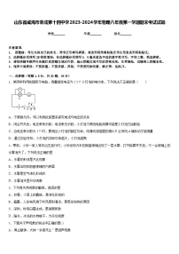 山东省威海市荣成第十四中学2023-2024学年物理八年级第一学期期末考试试题含答案