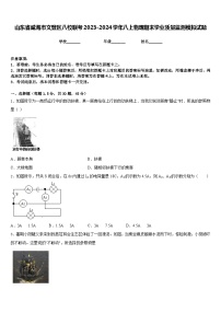 山东省威海市文登区八校联考2023-2024学年八上物理期末学业质量监测模拟试题含答案