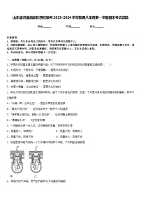 山东省济南高新区四校联考2023-2024学年物理八年级第一学期期末考试试题含答案