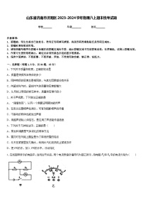 山东省济南市济阳区2023-2024学年物理八上期末统考试题含答案