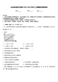 山东省济南市历城区2023-2024学年八上物理期末调研试题含答案