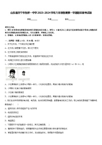 山东省济宁市鲁桥一中学2023-2024学年八年级物理第一学期期末联考试题含答案