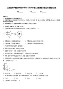 山东省济宁市田家炳中学2023-2024学年八上物理期末复习检测模拟试题含答案