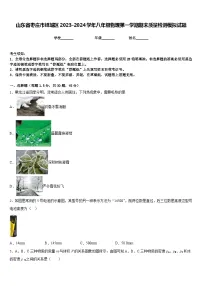 山东省枣庄市峄城区2023-2024学年八年级物理第一学期期末质量检测模拟试题含答案