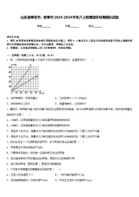 山东省泰安市、新泰市2023-2024学年八上物理期末经典模拟试题含答案