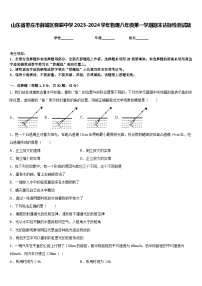 山东省枣庄市薛城区舜耕中学2023-2024学年物理八年级第一学期期末达标检测试题含答案