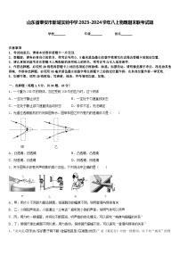 山东省泰安市新城实验中学2023-2024学年八上物理期末联考试题含答案