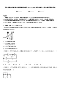 山东省泰安市肥城市湖屯镇初级中学2023-2024学年物理八上期末考试模拟试题含答案