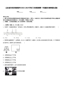 山东省菏泽定陶县联考2023-2024学年八年级物理第一学期期末调研模拟试题含答案