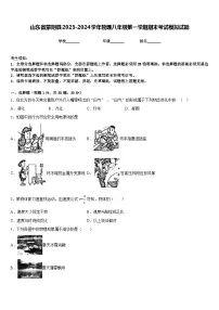 山东省蒙阴县2023-2024学年物理八年级第一学期期末考试模拟试题含答案