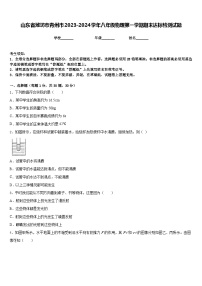 山东省潍坊市青州市2023-2024学年八年级物理第一学期期末达标检测试题含答案