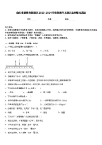 山东省淄博市临淄区2023-2024学年物理八上期末监测模拟试题含答案