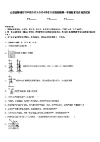 山东省聊城市茌平县2023-2024学年八年级物理第一学期期末综合测试试题含答案
