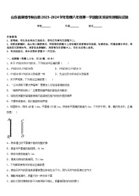 山东省淄博市桓台县2023-2024学年物理八年级第一学期期末质量检测模拟试题含答案