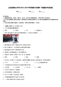 山东省青岛七中学2023-2024学年物理八年级第一学期期末考试试题含答案