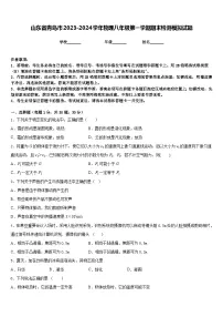 山东省青岛市2023-2024学年物理八年级第一学期期末检测模拟试题含答案