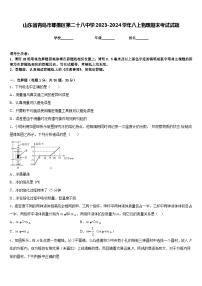 山东省青岛市即墨区第二十八中学2023-2024学年八上物理期末考试试题含答案