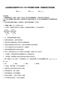 山东省青岛市温泉中学2023-2024学年物理八年级第一学期期末复习检测试题含答案