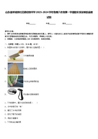 山东省郯城县红花镇初级中学2023-2024学年物理八年级第一学期期末质量跟踪监视试题含答案