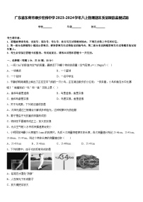 广东省东莞市寮步宏伟中学2023-2024学年八上物理期末质量跟踪监视试题含答案