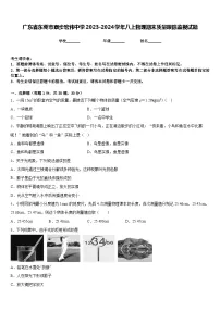 广东省东莞市寮步宏伟中学2023-2024学年八上物理期末质量跟踪监视试题含答案