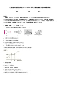 山西省长治市壶关县2023-2024学年八上物理期末联考模拟试题含答案