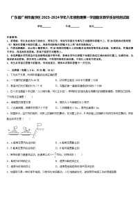 广东省广州市南沙区2023-2024学年八年级物理第一学期期末教学质量检测试题含答案