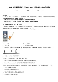 广东省广州市越秀区知用中学2023-2024学年物理八上期末检测试题含答案