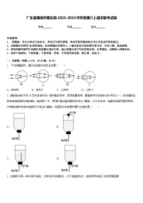 广东省惠州市惠东县2023-2024学年物理八上期末联考试题含答案