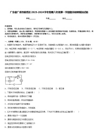 广东省广州市越秀区2023-2024学年物理八年级第一学期期末调研模拟试题含答案