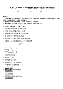 广东省江门市2023-2024学年物理八年级第一学期期末经典模拟试题含答案