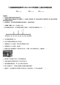 广东省揭阳榕城真理中学2023-2024学年物理八上期末统考模拟试题含答案