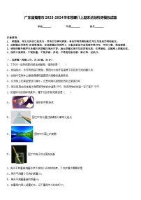 广东省揭阳市2023-2024学年物理八上期末达标检测模拟试题含答案