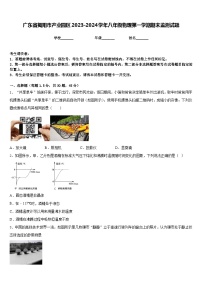 广东省揭阳市产业园区2023-2024学年八年级物理第一学期期末监测试题含答案