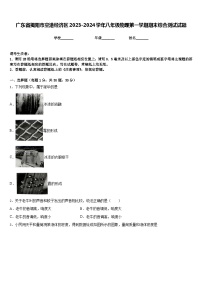 广东省揭阳市空港经济区2023-2024学年八年级物理第一学期期末综合测试试题含答案