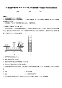 广东省揭阳市普宁市2023-2024学年八年级物理第一学期期末教学质量检测试题含答案