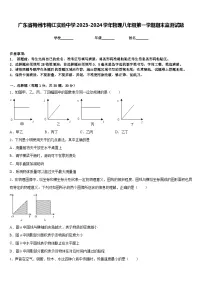广东省梅州市梅江实验中学2023-2024学年物理八年级第一学期期末监测试题含答案