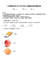 广东省梅州市名校2023-2024学年八上物理期末质量检测模拟试题含答案