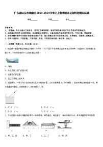 广东省汕头市潮南区2023-2024学年八上物理期末达标检测模拟试题含答案