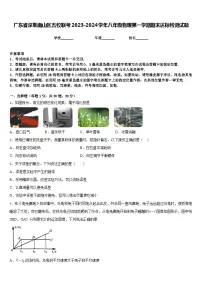 广东省深圳南山区五校联考2023-2024学年八年级物理第一学期期末达标检测试题含答案