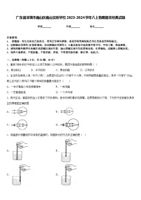 广东省深圳市南山区南山实验学校2023-2024学年八上物理期末经典试题含答案