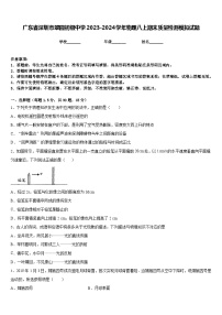 广东省深圳市翠园初级中学2023-2024学年物理八上期末质量检测模拟试题含答案