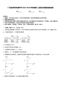 广东省深圳市桃源中学2023-2024学年物理八上期末质量跟踪监视试题含答案