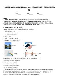 广东省深圳市南山区实验教育集团2023-2024学年八年级物理第一学期期末检测模拟试题含答案