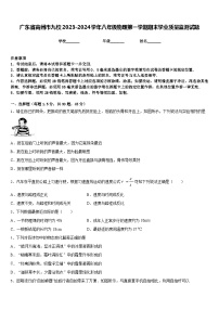 广东省高州市九校2023-2024学年八年级物理第一学期期末学业质量监测试题含答案