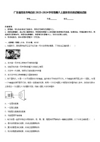 广东省茂名市电白区2023-2024学年物理八上期末综合测试模拟试题含答案