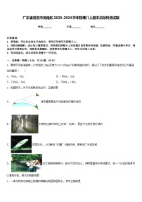 广东省茂名市茂南区2023-2024学年物理八上期末达标检测试题含答案